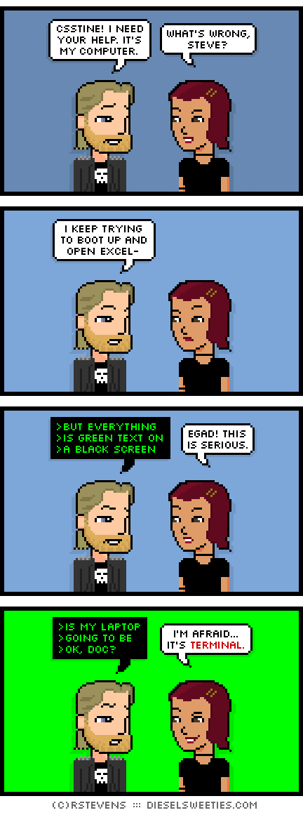 metal steve, csstine : csstine! i need your help. it's my computer. what's wrong, steve? i keep trying to boot up and open excel- >but everything >is green text on >a black screen egad! this is serious. >is my laptop >going to be >ok, doc? i'm afraid... it's terminal.