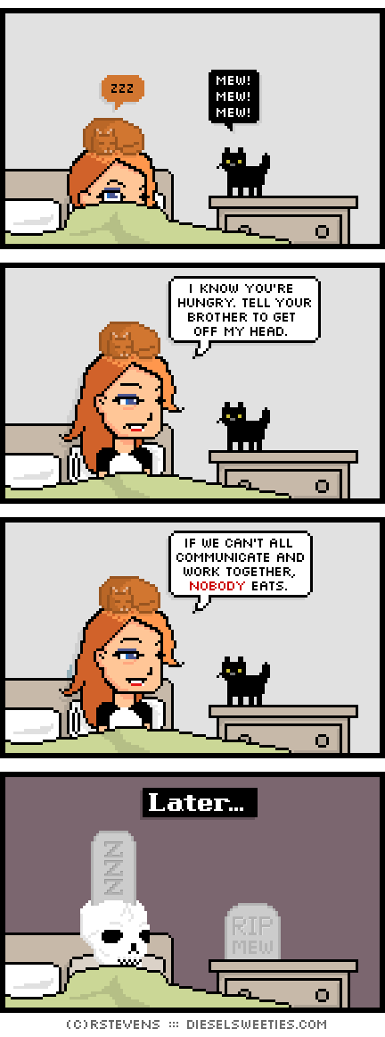 maura, roger the cat : in bed, sleeping, head under covers, bureau, bedside, john stamos kitten i know you're hungry. tell your brother to get off my head. if we can't all communcate and work together, nobody eats. later...